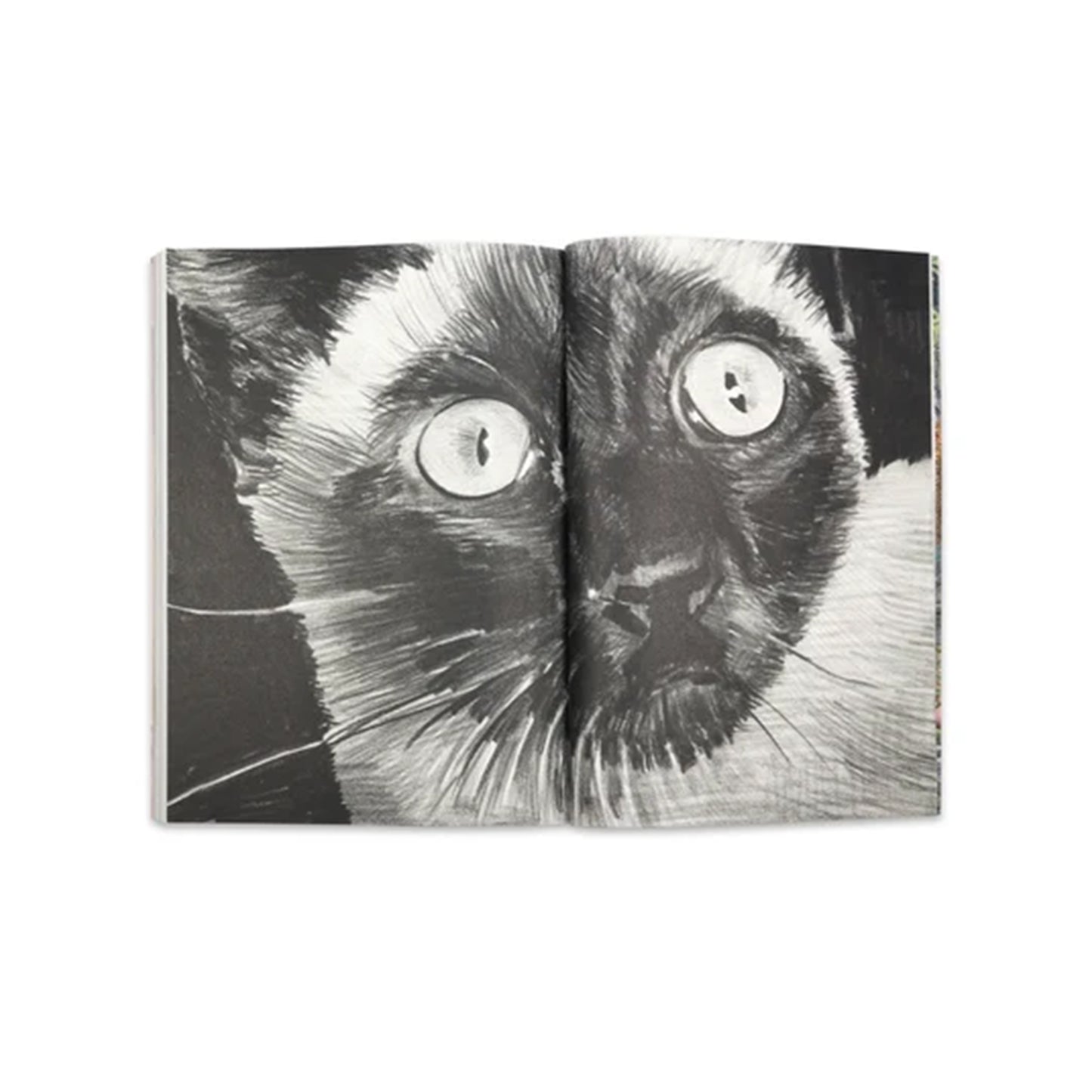 FUKT Magazine | 15 beamalevich architecture gift design gift art gift
