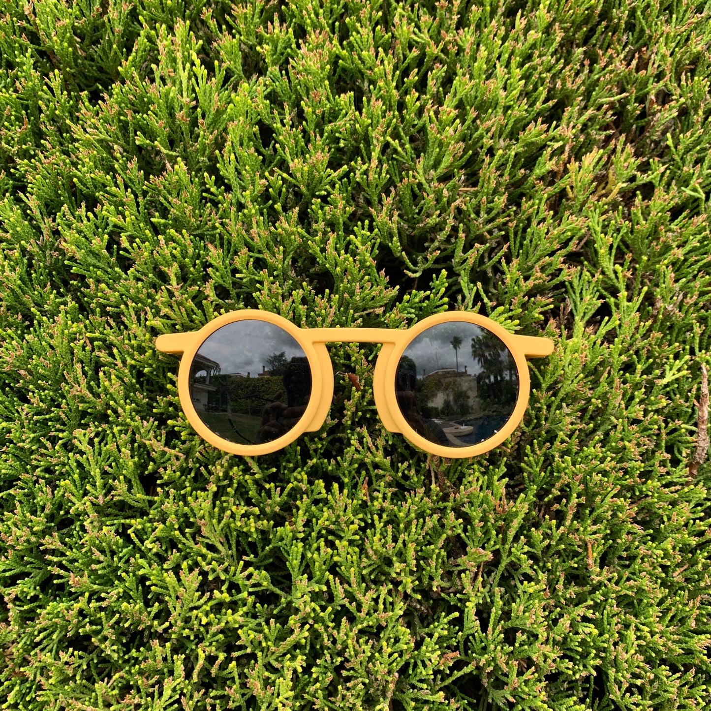 Terrae Lichi sunglasses - Mustard beamalevich architecture gift design gift art gift